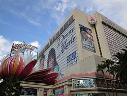 Hotel Flamingo Las Vegas